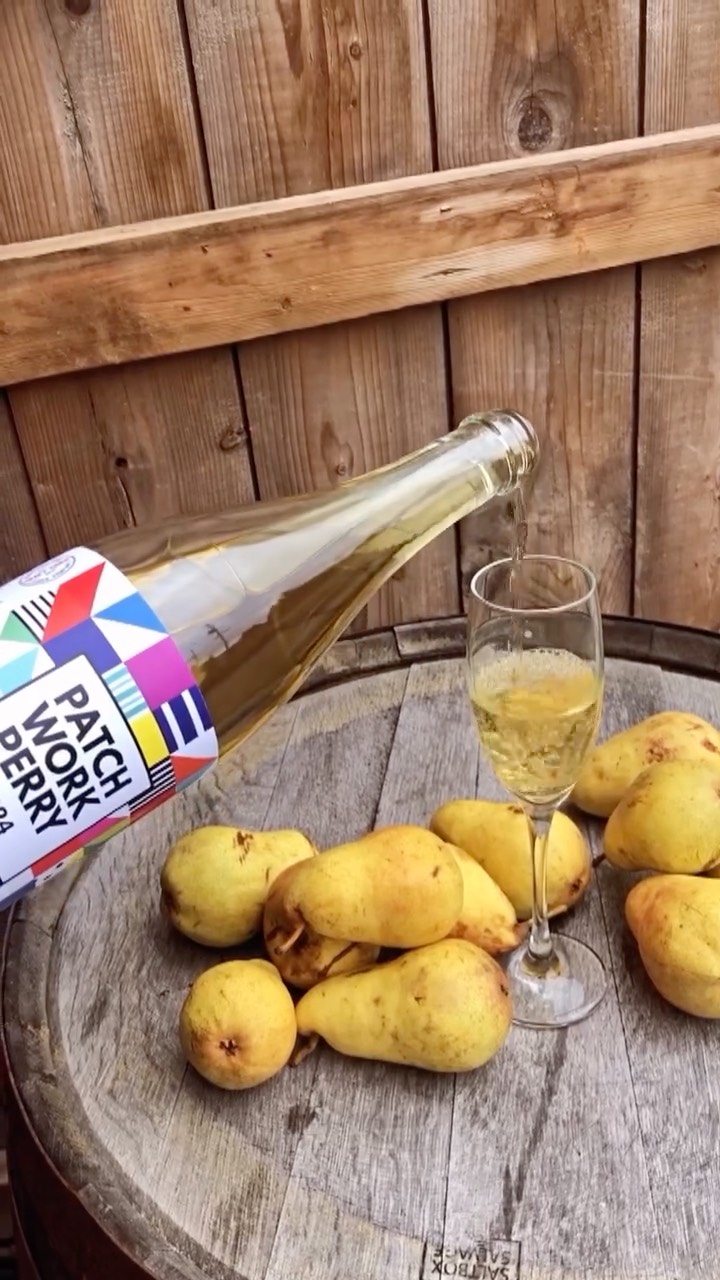 Forager Apple Cider
